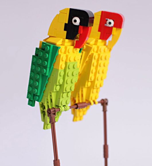 Bird Enthusiast Creates LEGO Birds