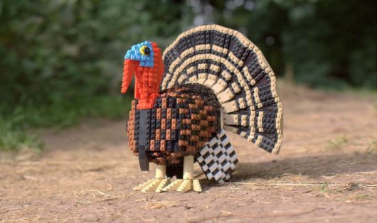 Bird Enthusiast Creates LEGO Birds