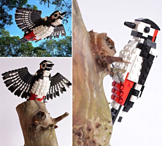 Bird Enthusiast Creates LEGO Birds