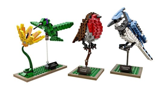 Bird Enthusiast Creates LEGO Birds
