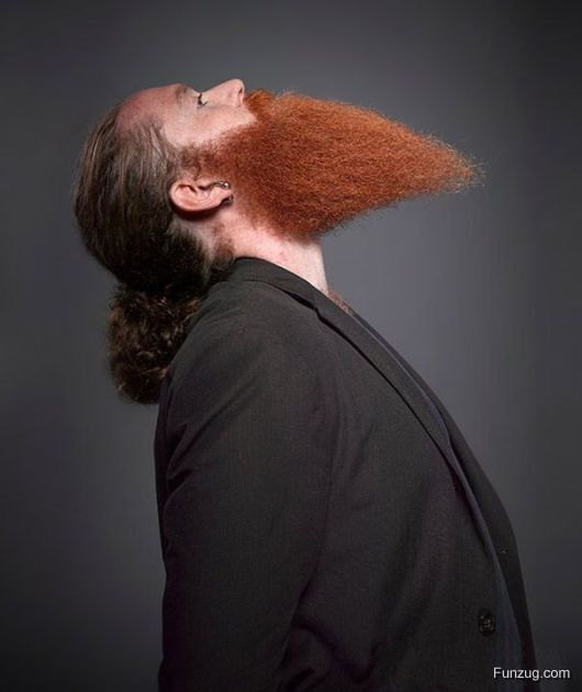 Epic Entries From Beard And Moustache Championships
