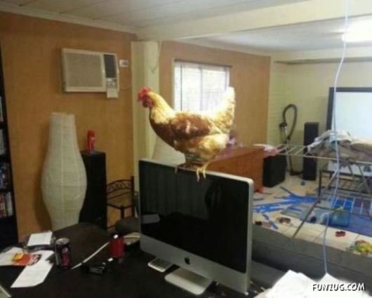 Open Up A Case Of Mondays