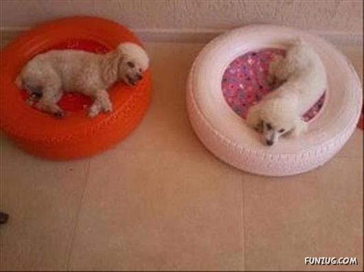 Amazing Creativity With Old Tyres