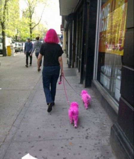 Thats Something Different And Interesting