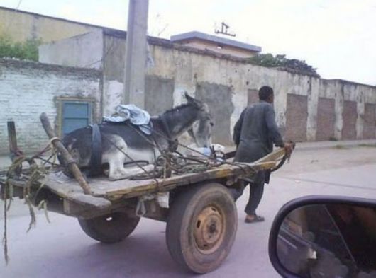 Thats Something Different And Interesting