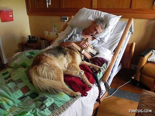 Awesome One Word Essays