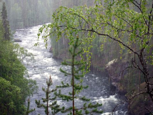 Rain - A Blessing Of God