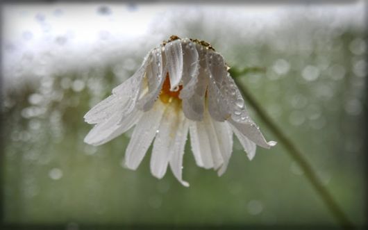 Rain - A Blessing Of God