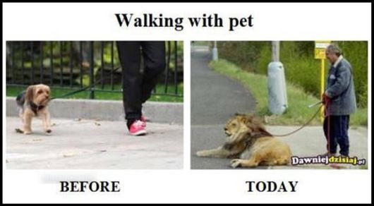 Humorous Stories From Life