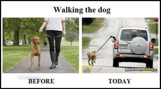 Humorous Stories From Life