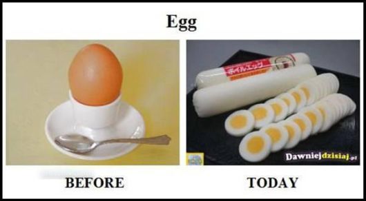 Humorous Stories From Life