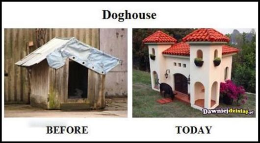 Humorous Stories From Life