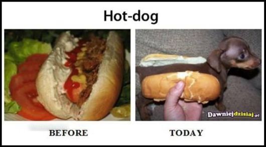 Humorous Stories From Life