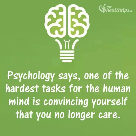 Some Absolutely Amazing Facts