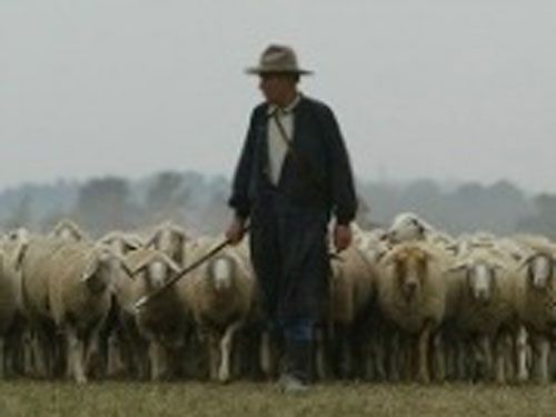 Famous Sayings And Their Meanings