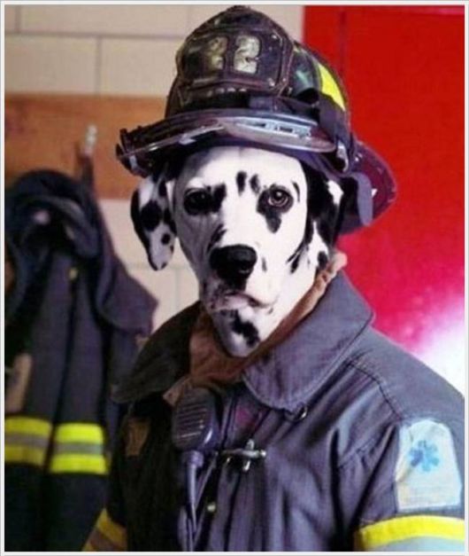 Awesome Mix Cool Pictures