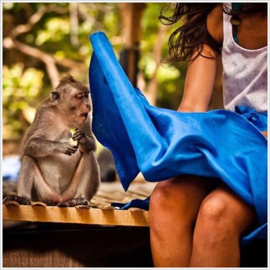 Awesome Mix Cool Pictures