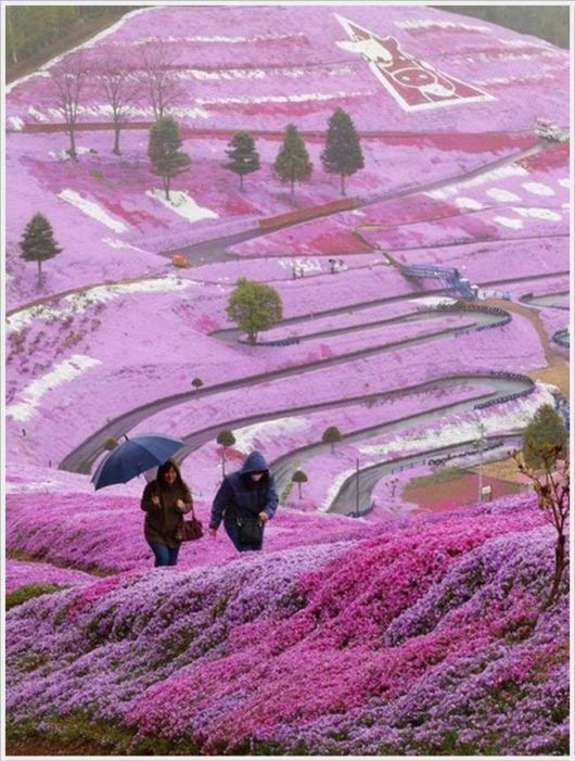 Awesome Mix Cool Pictures