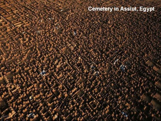 Hidden Macro World Revealed