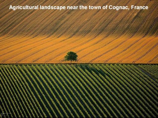 Hidden Macro World Revealed