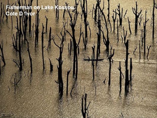 Hidden Macro World Revealed