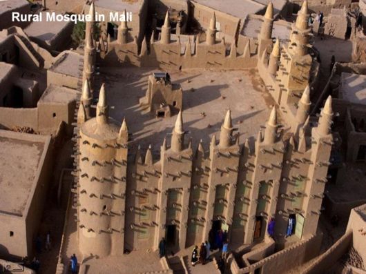 Hidden Macro World Revealed