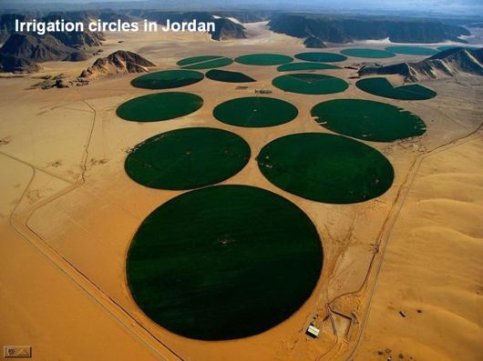 Hidden Macro World Revealed