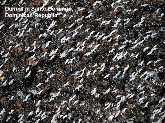 Hidden Macro World Revealed