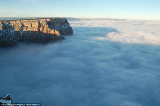 A River Of Fog Over Grand Canyon