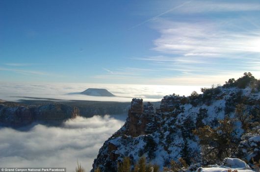 A River Of Fog Over Grand Canyon
