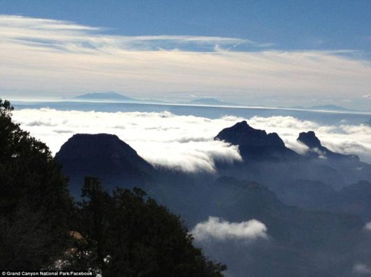 A River Of Fog Over Grand Canyon