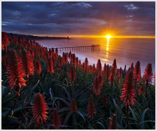 The Unseen Beauty Of The Sun