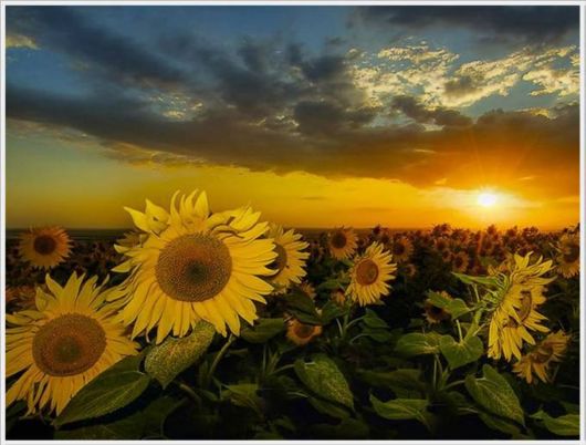 The Unseen Beauty Of The Sun