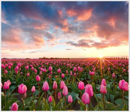 The Unseen Beauty Of The Sun