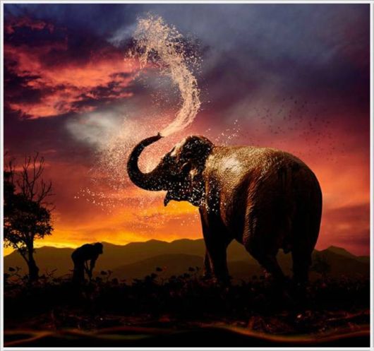 The Unseen Beauty Of The Sun