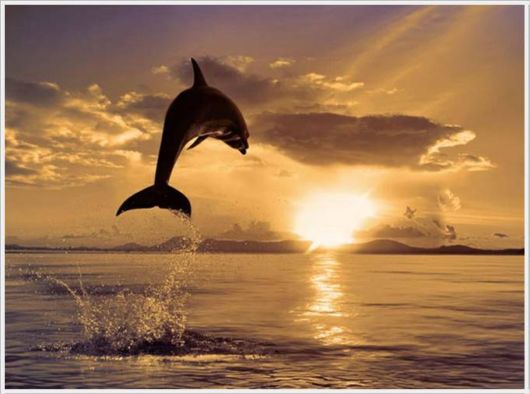 The Unseen Beauty Of The Sun