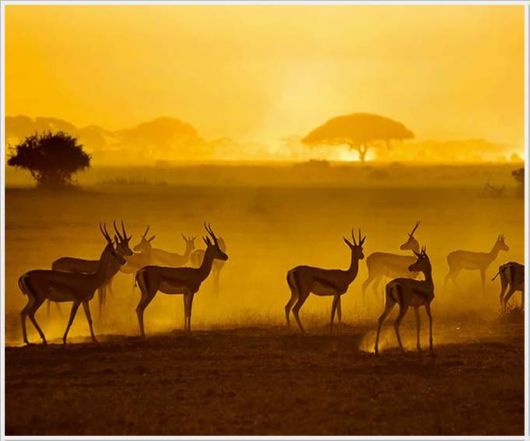 The Unseen Beauty Of The Sun