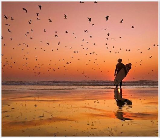 The Unseen Beauty Of The Sun