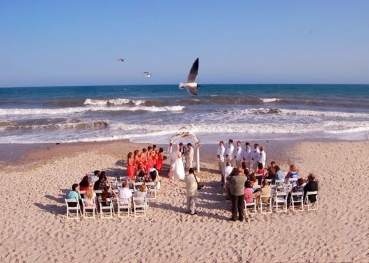 Wonderful Beach Wedding Pictures