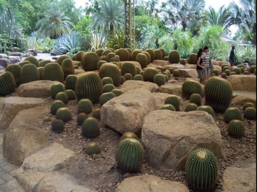 Nong Nooch Tropical Garden, Pattaya