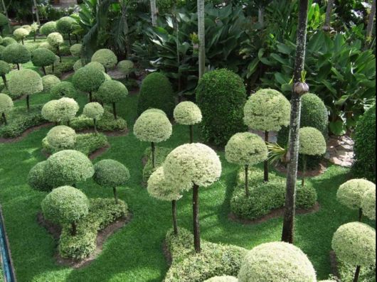 Nong Nooch Tropical Garden, Pattaya
