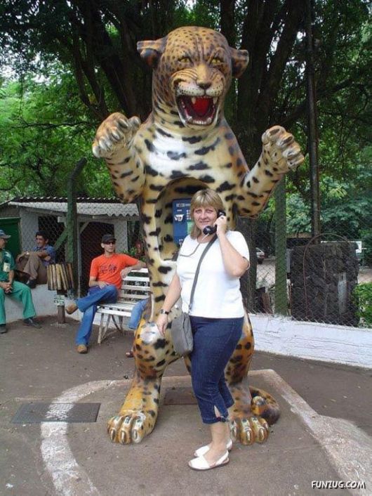 Most Amazing Telephone Booths In Brazil