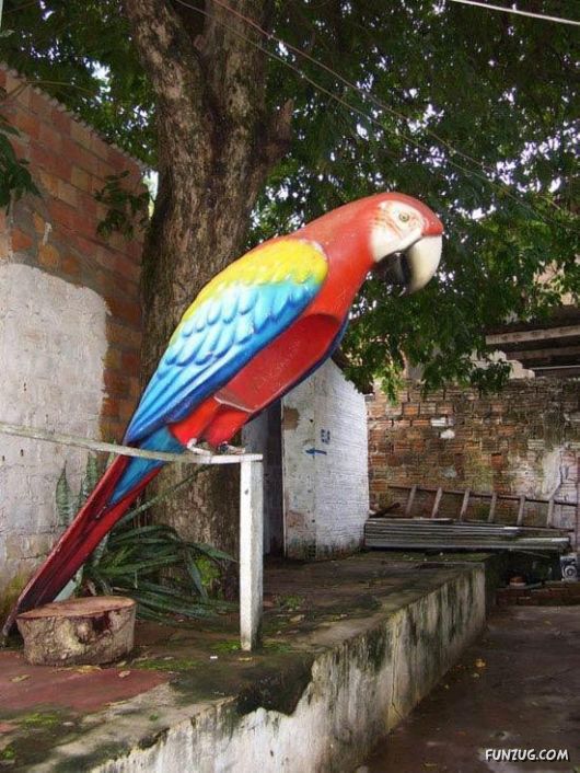 Most Amazing Telephone Booths In Brazil