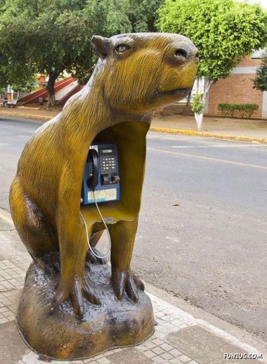 Most Amazing Telephone Booths In Brazil