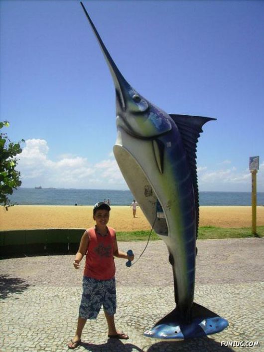 Most Amazing Telephone Booths In Brazil
