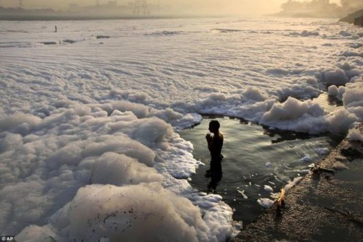 Polluted Yamuna River Becomes A Sea Of Foam
