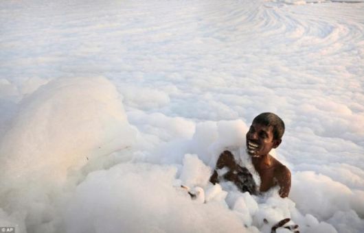 Polluted Yamuna River Becomes A Sea Of Foam