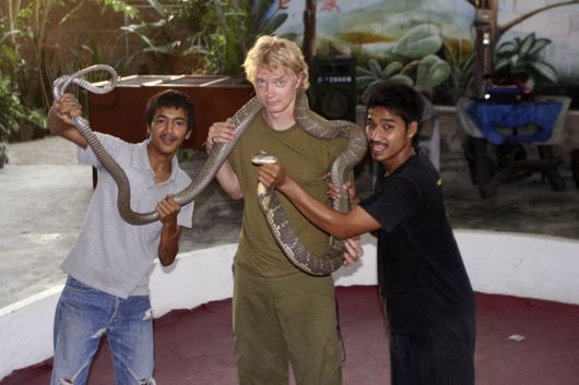 10 Unknown Facts About King Cobra